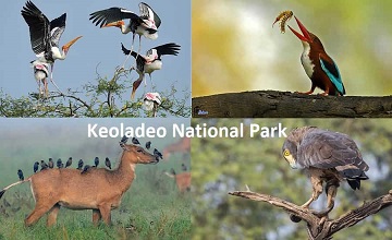 Taj Mahal Tour With Keoladeo National Park
