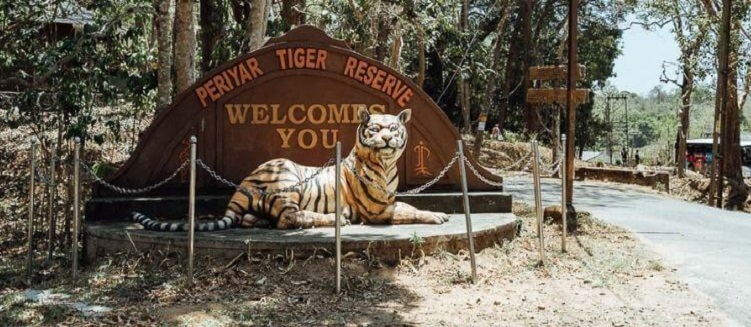 Wildlife Sanctuary and Bird Sanctuary Tour of Kerala